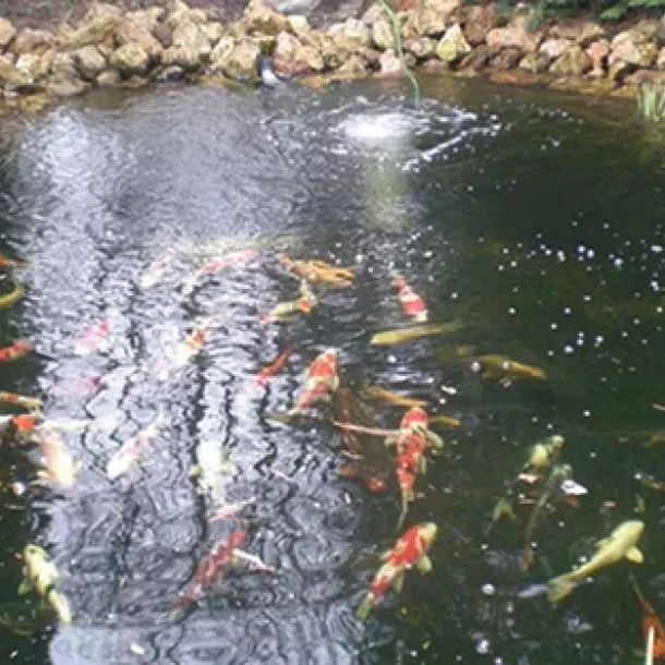 Prati in semina o a rotoli Cura e manutenzione, potatura e lavori forestali GREEN CLEAN di Bianchetti Gian Luca ad Arcevia