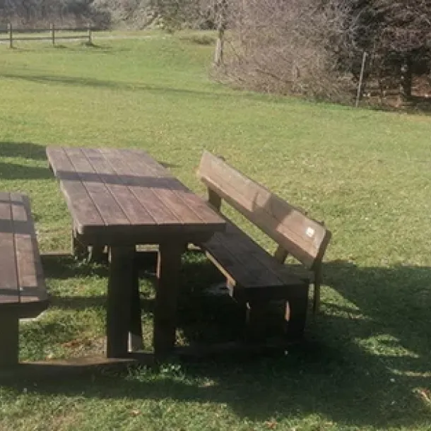 Prati in semina o a rotoli Cura e manutenzione, potatura e lavori forestali GREEN CLEAN di Bianchetti Gian Luca ad Arcevia