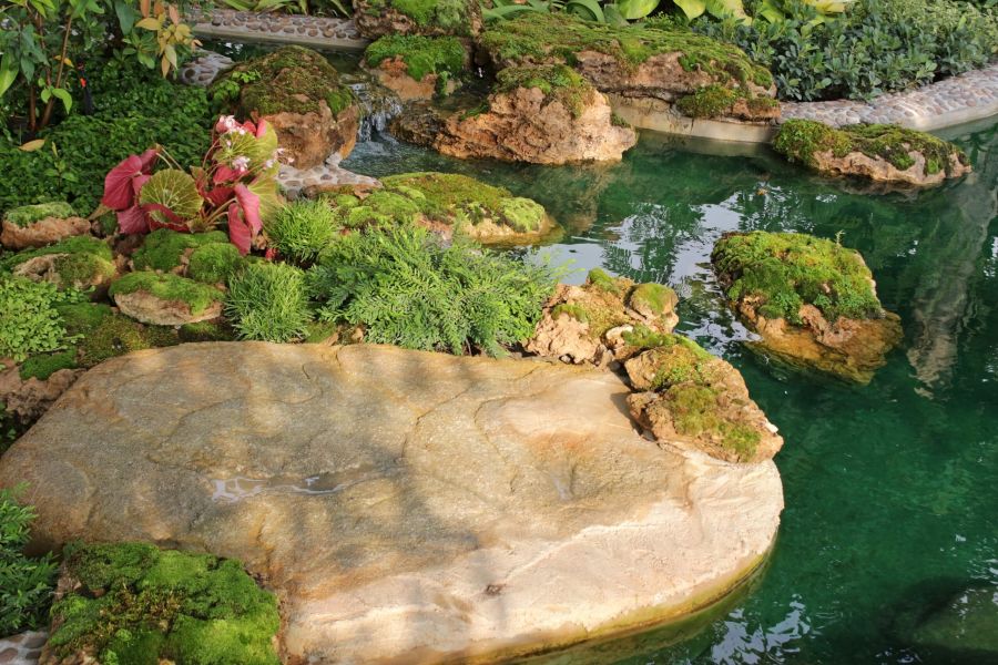 Prati in semina o a rotoli Cura e manutenzione, potatura e lavori forestali GREEN CLEAN di Bianchetti Gian Luca ad Arcevia