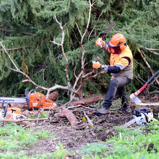Prati in semina o a rotoli Cura e manutenzione, potatura e lavori forestali GREEN CLEAN di Bianchetti Gian Luca ad Arcevia