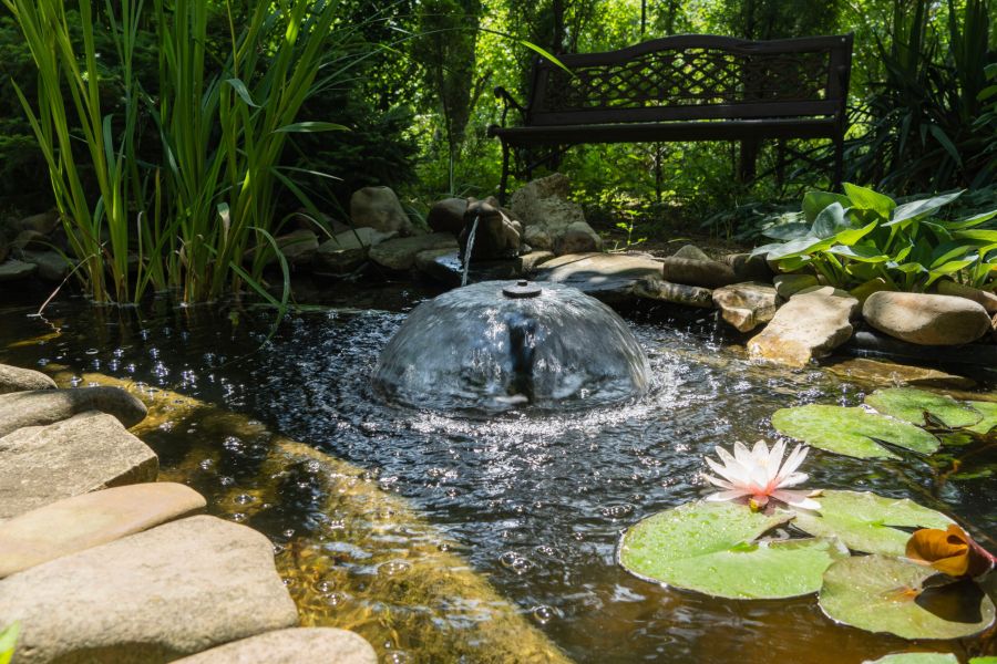 Prati in semina o a rotoli Cura e manutenzione, potatura e lavori forestali GREEN CLEAN di Bianchetti Gian Luca ad Arcevia