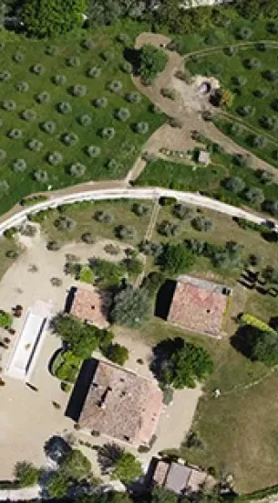 Prati in semina o a rotoli Cura e manutenzione, potatura e lavori forestali GREEN CLEAN di Bianchetti Gian Luca ad Arcevia