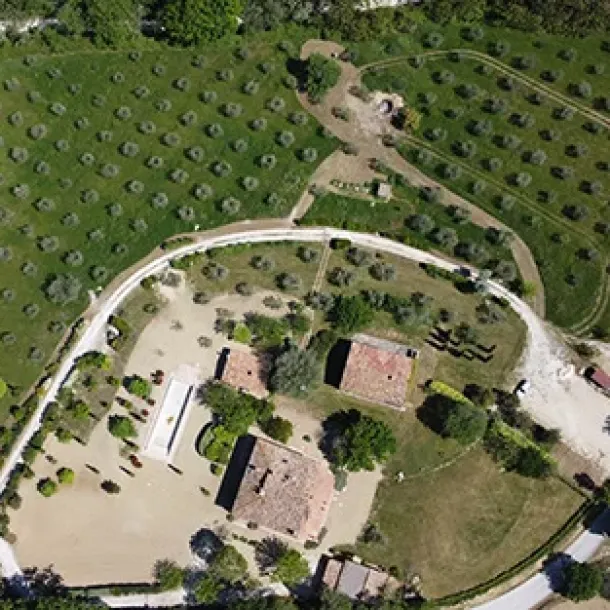 Prati in semina o a rotoli Cura e manutenzione, potatura e lavori forestali GREEN CLEAN di Bianchetti Gian Luca ad Arcevia