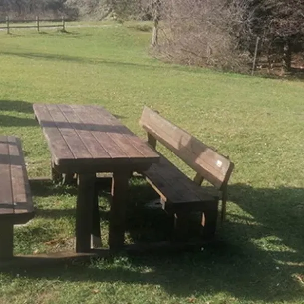 Prati in semina o a rotoli Cura e manutenzione, potatura e lavori forestali GREEN CLEAN di Bianchetti Gian Luca ad Arcevia